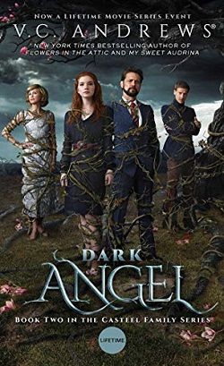 Fallen Hearts (Casteel 3)