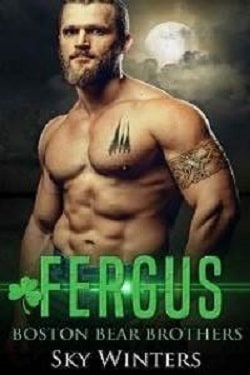 Fergus - An Irish Mafia Shifter (Boston Bear Brothers 1)