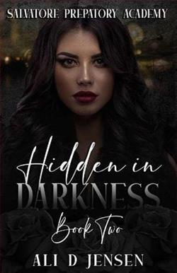 Hidden in Darkness 2