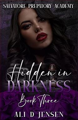 Hidden in Darkness 3