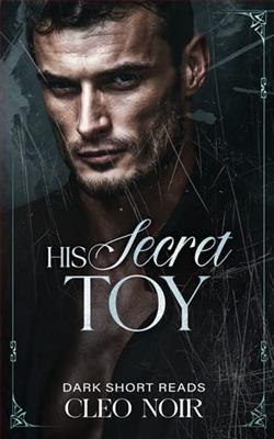 His Secret Toy