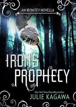 Iron's Prophecy (The Iron Fey 4.5)