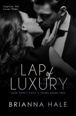 Lap of Luxury (Love Don't Cost a Thing)