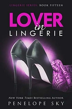 Lover in Lingerie (Lingerie 15)