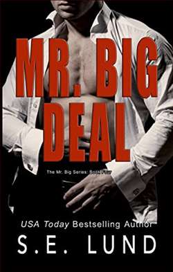 Mr. Big Deal (Mr. Big 4)