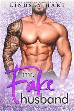 Mr. Fake Husband