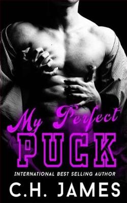 My Perfect Puck
