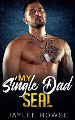 My Single Dad SEAL