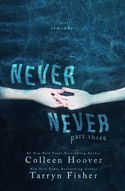 Never Never: Part Three (Never Never 3)
