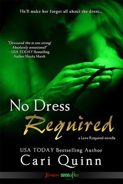 No Dress Required (Love Required 1)