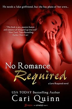 No Romance Required (Love Required 3)