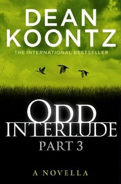 Odd Interlude 3 (Odd Thomas 4.3)