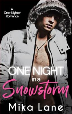 One Night in a Snowstorm