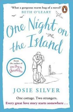 One Night on the Island