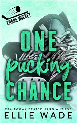 One Pucking Chance
