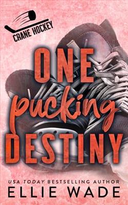 One Pucking Destiny