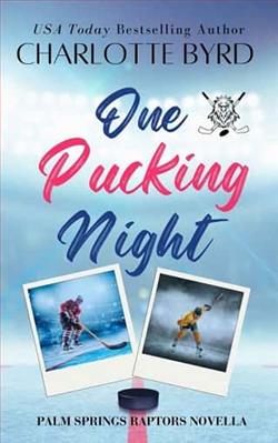 One Pucking Night