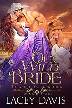 Our Wild Bride (Treasure Falls Brides 3)