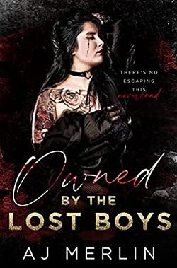 Owned By The Lost Boys