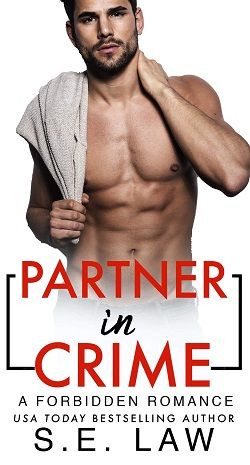 Partner in Crime (Forbidden Fantasies 27)