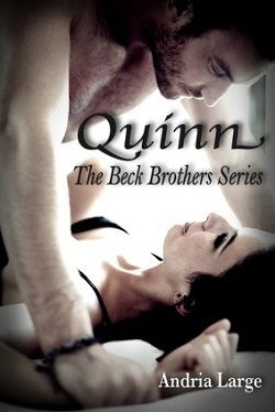 Quinn (The Beck Brothers 3)