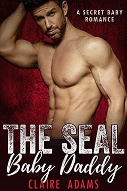 SEAL Baby Daddy