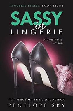 Sassy in Lingerie (Lingerie 8)