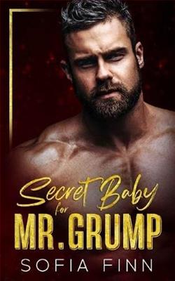 Secret Baby for Mr. Grump