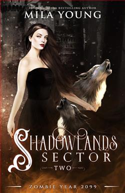 Shadowlands Sector 2