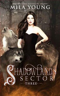 Shadowlands Sector 3