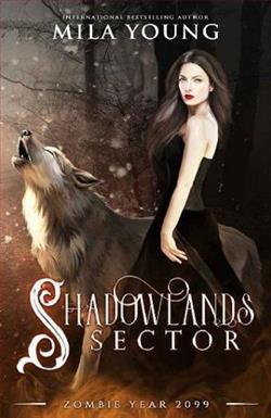 Shadowlands Sector