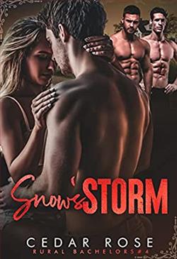 Snow's Storm