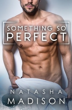 Something So Perfect (Something So 2)