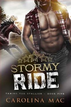 Stormy Ride
