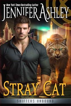 Stray Cat