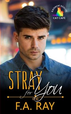 Stray for You