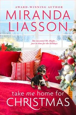 Take Me Home for Christmas
