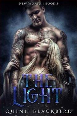 The Light (Dark Fae: Black World 5)