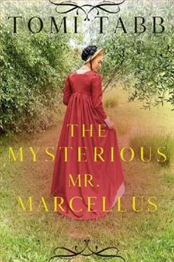 The Mysterious Mr. Marcellus