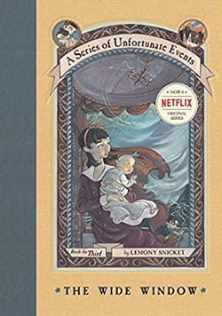 The Wide Window (A Series of Unfortunate Events 3)