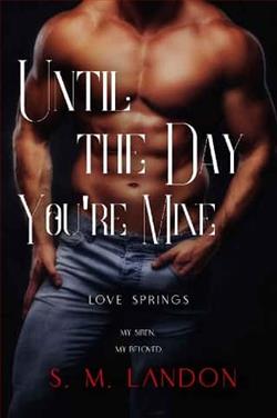 Until the Day You're Mine