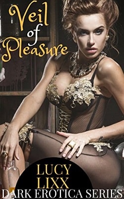 Veil Of Pleasure (DARK EROTICA SERIES)