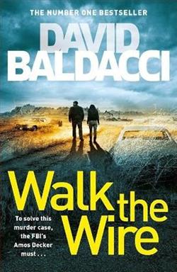 Walk the Wire (Amos Decker 6)