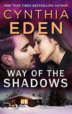 Way of the Shadows (Shadow Agents 8)