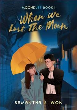 When We Lost The Moon
