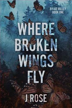 Where Broken Wings Fly