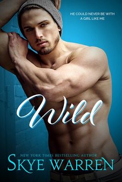 Wild (Chicago Underground 4)