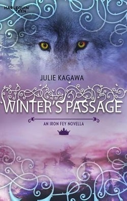 Winter's Passage (Iron Fey 1.5)