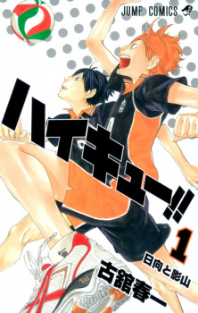 Haikyuu!! (Haikyu!!)