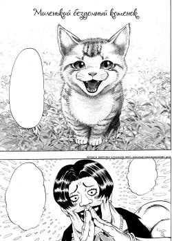 Kawaii Noraneko